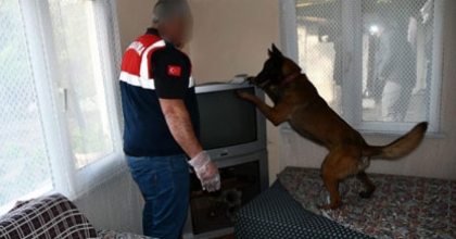 EŞ ZAMANLI ‘KÖKÜNÜ KURUTMA OPERASYONU’