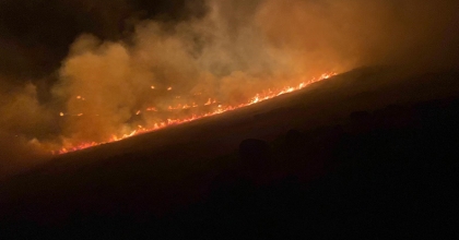 BODRUM'DA OTLUK VE MAKİLİK ARAZİDE YANGIN  