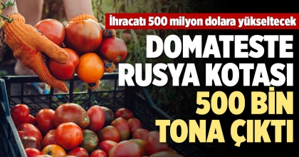 DOMATESTE RUSYA KOTASI 500 BİN TONA ÇIKTI