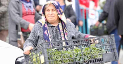 MERKEZEFENDİ’DE 400 BİN FİDE DAĞITILDI