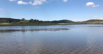 BULDAN’DA NİLÜFERLER AÇMAK İÇİN GÜN SAYIYOR  