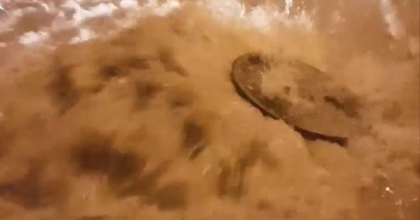 RÖGAR TAŞTI SİRENLER ÇALDI