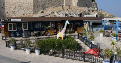 ARYA’NIN CİRO HEDEFİ 98 MİLYON LİRA