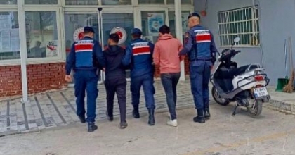 ZEYTİNYAĞI HIRSIZLARI YAKALANDI