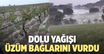 DOLU YAĞIŞI ÜZÜM BAĞLARINI VURDU   