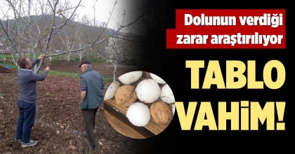 DOLUNUN VERDİĞİ ZARAR ARAŞTIRILIYOR
