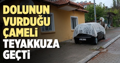 DOLUNUN VURDUĞU ÇAMELİ TEYAKKUZA GEÇTİ