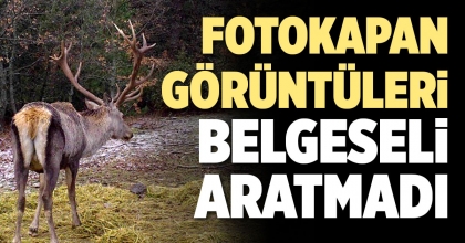 FOTOKAPAN GÖRÜNTÜLERİ BELGESELİ ARATMADI