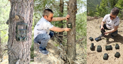 FOTOKAPANLAR YABAN HAYATINI KORUMAK İÇİN KURULDU