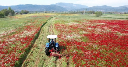 KABA YEMİ ÜCRETSİZ DAĞITACAK