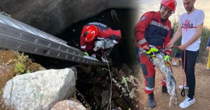 KENDİSİNİ KURTARMAYA GELEN İTFAİYE ERİNİ GÖRÜNCE SEVGİ GÖSTERİSİ SERGİLEDİ  