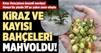 KİRAZ İHRACATININ ÖNEMLİ MERKEZİ HONAZ’DA YÜZDE 50’YE YAKIN ZARAR OLUŞTU   