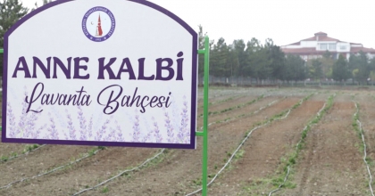 KÜTAHYA'DA 'ANNE KALBİ LAVANTA BAHÇESİ' AÇILDI 