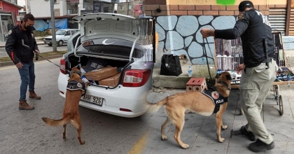 MANİSA’DA UYUŞTURUCUDAN 66 GÖZALTI 5 TUTUKLAMA