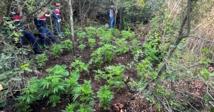 UYUŞTURUCUYA DARBE: 40 GÖZALTI