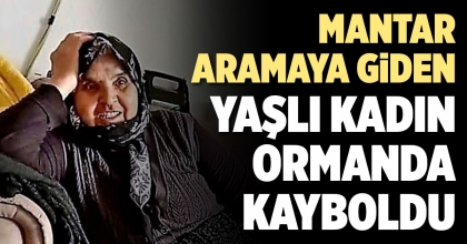 MANTAR ARAMAYA GİDEN 72 YAŞINDAKİ YAŞLI KADIN KAYBOLDU