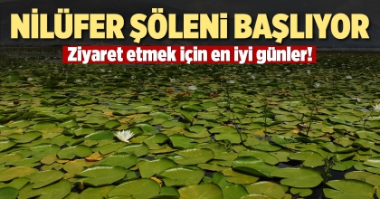 NİLÜFER ŞÖLENİ BAŞLIYOR
