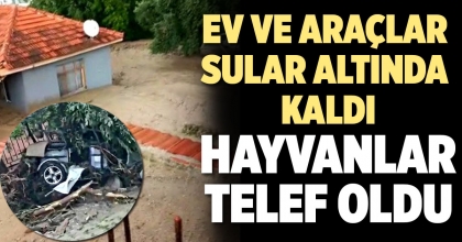 PAMUKKALE'DE EV VE ARAÇLAR SULAR ALTINDA KALDI