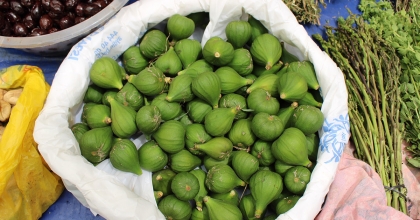 REÇELLİK İLEKLER TEZGAHA ÇIKTI