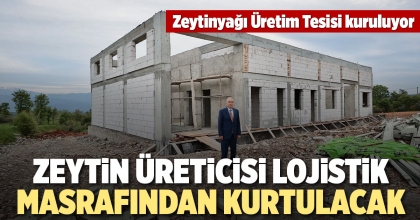 ZEYTİN ÜRETİCİSİ LOJİSTİK MASRAFINDAN KURTULACAK