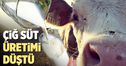 ÇİĞ SÜT ÜRETİMİ DÜŞTÜ