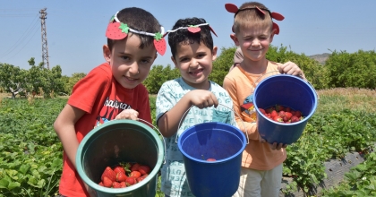 ÇİLEK KOKULU GÜNLER BAŞLIYOR
