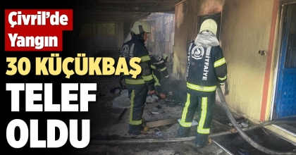 ÇİVRİL’DE YANGIN 30 KÜÇÜKBAŞ TELEF OLDU  