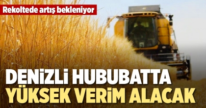 DENİZLİ HUBUBATTA YÜKSEK VERİM ALACAK