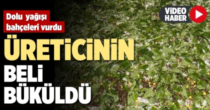 DOLU YAĞIŞI BAHÇELERİ VURDU 