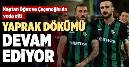 YAPRAK DÖKÜMÜ DEVAM EDİYOR