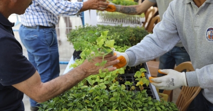 SOFRALAR BU FİDELERLE BEREKETLENECEK