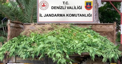 JANDARMADAN BÜYÜK UYUŞTURUCU VURGUNU