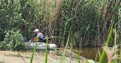 HAYALET AĞLAR İMHA EDİLDİ  