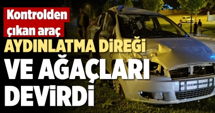 KONTROLDEN ÇIKAN ARAÇ AYDINLATMA DİREĞİ VE AĞAÇLARI DEVİRDİ  