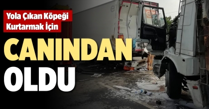 YOLA ÇIKAN KÖPEĞİ KURTARMAK İÇİN  CANINDAN OLDU  