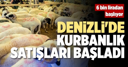 DENİZLİ'DE KURBANLIK SATIŞLARI BAŞLADI