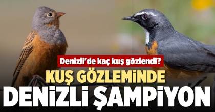 KUŞ GÖZLEMİNDE DENİZLİ ŞAMPİYON