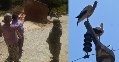 40 YIL SONRA LEYLEK SEVİNCİ