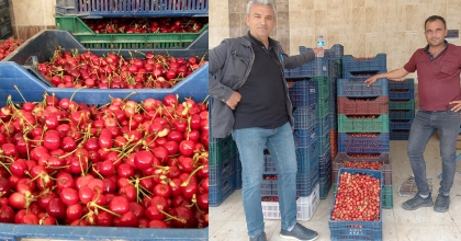 SEZONUN İLK KİRAZ PAZARI KURULDU