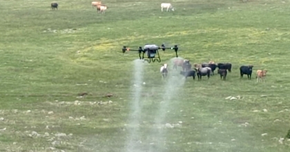 BÜYÜKŞEHİRDEN ÇEKİRGEYE KARŞI DRON İLE MÜCADELE