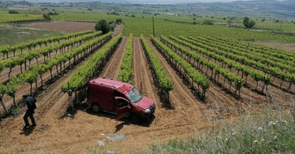 TİCARİ ARAÇ ÜZÜM BAĞINA DÜŞTÜ: 2 YARALI