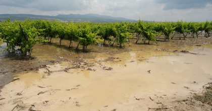 SEL TARIM ARAZİLERİNİ VURDU