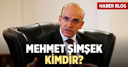 Mehmet Şimşek Kimdir?