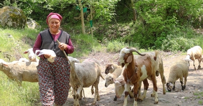 MERKEZEFENDİ’DE KADIN ÜRETİCİLER SÜRÜLERİNİ BÜYÜTÜYOR