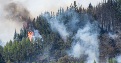 ORMAN FAKÜLTESİ UYARDI: SIKINTILI DÖNEMLER GELİYOR