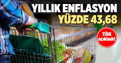  TÜİK: YILLIK ENFLASYON YÜZDE 43,68 