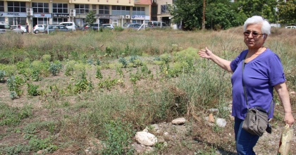 BİNA BEKLERKEN MARUL FİDANI BULDULAR