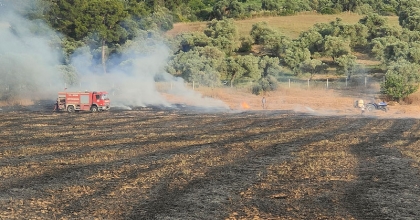 BUĞDAY TARLASINDAKİ YANGIN GÜÇLÜKLE SÖNDÜRÜLDÜ