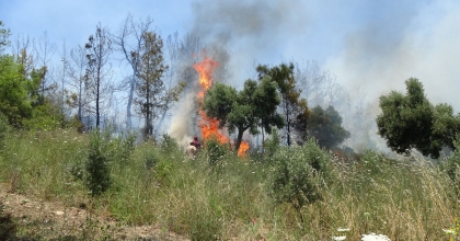ANIZDAN BAŞLAYAN YANGIN ORMANA SIÇRADI, 2 DÖNÜM KIZILÇAM ORMANI YANDI