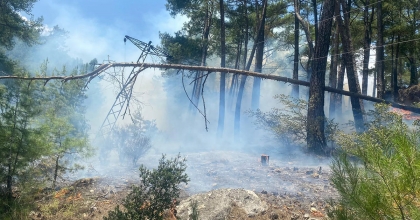 ANTALYA'DA ORMAN YANGINI 